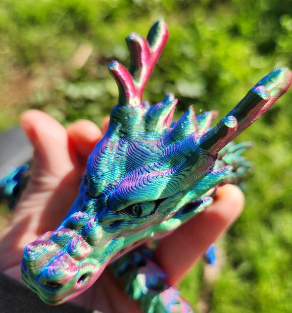 Dragons