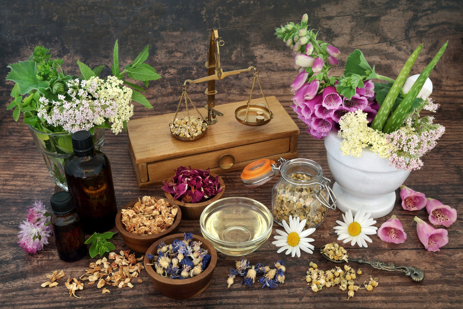 All Herbs