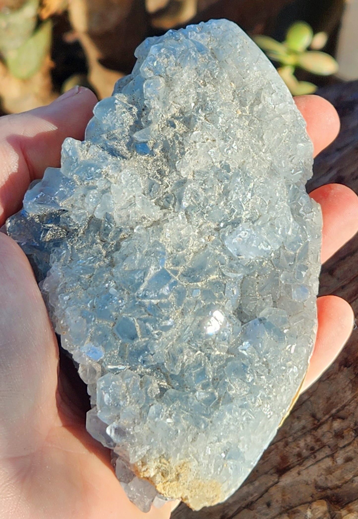 Celestite Cluster