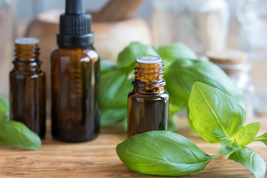 Basil Essential Oil 5ML