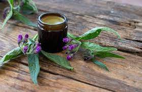 Herb - Comfrey