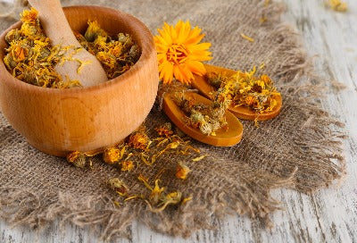 Herb - Calendula