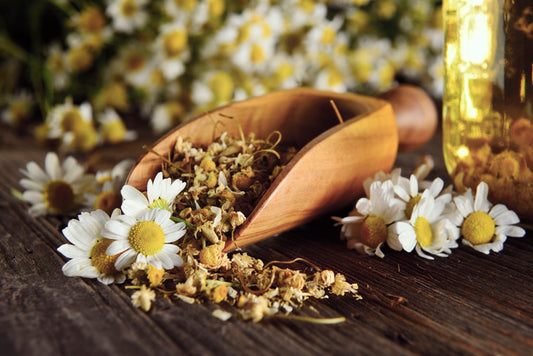 Herb - Chamomile