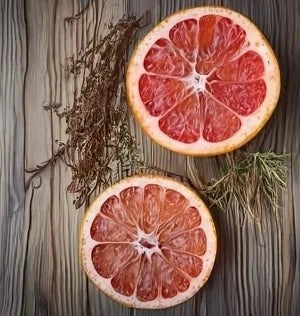 Herb - Grapefruit Slices