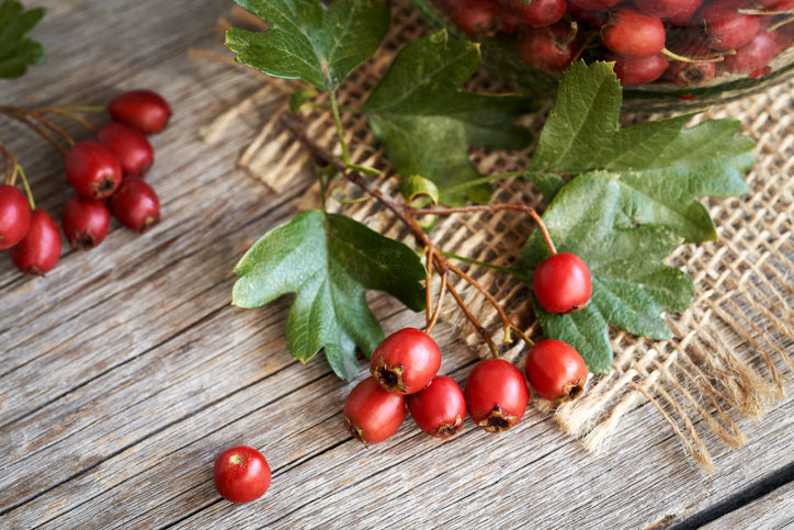 Herb - Hawthorn Berry