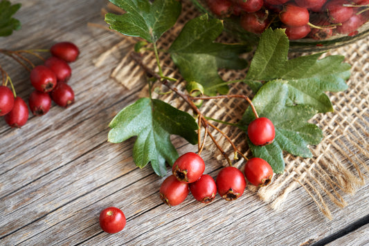 Herb - Hawthorn Berry