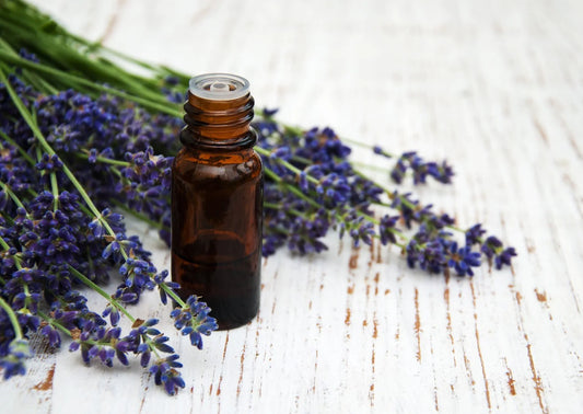 Lavender Essential Oil 5ML
