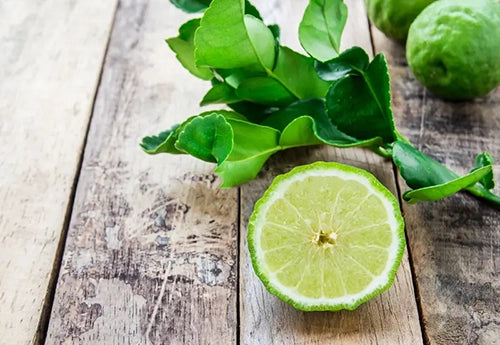 Herb - Lime Peel