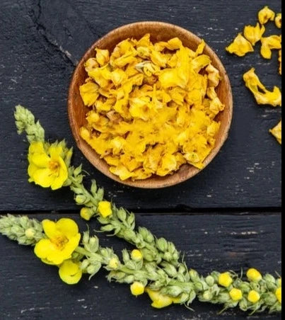 Herb - Mullein