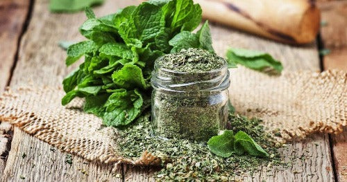 Herb - Peppermint
