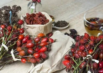 Herb - Rosehips