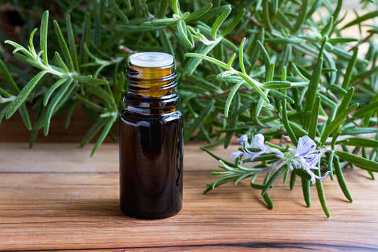 Rosemary Essential Oil 5ML