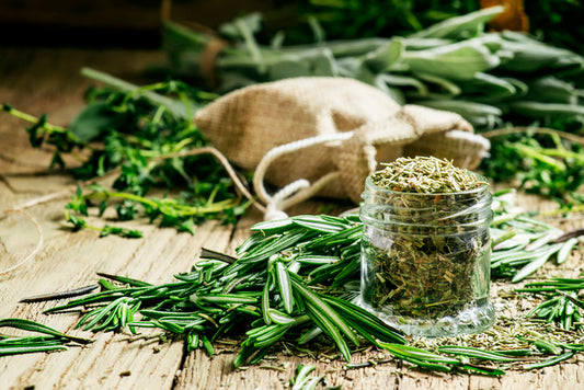 Herb - Rosemary