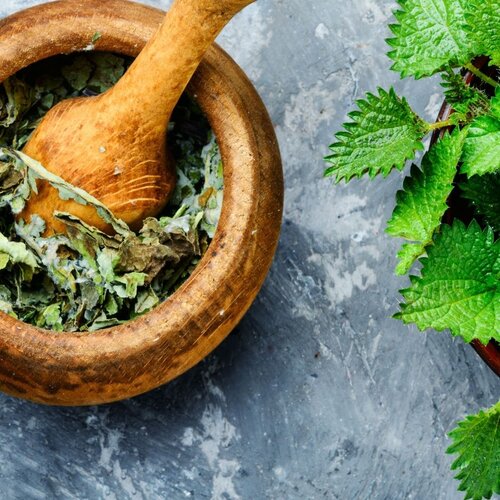 Herb - Stinging Nettle Root