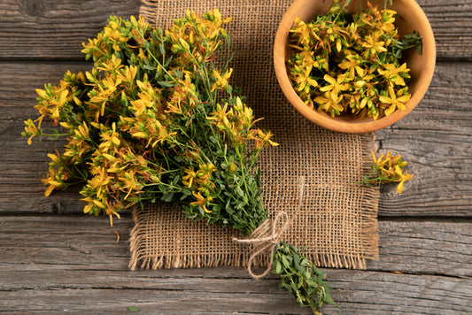 Herb - St. John's Wort