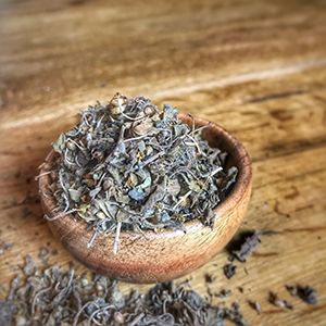 Herb - Tulsi