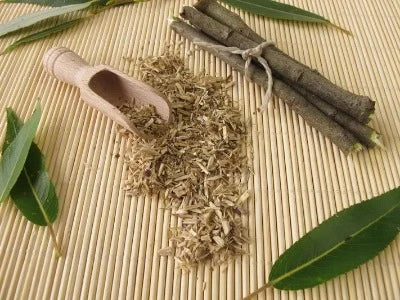 Herb - White Willow Bark