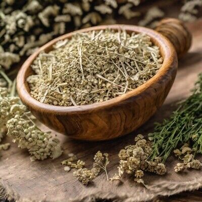 Herb - Yarrow