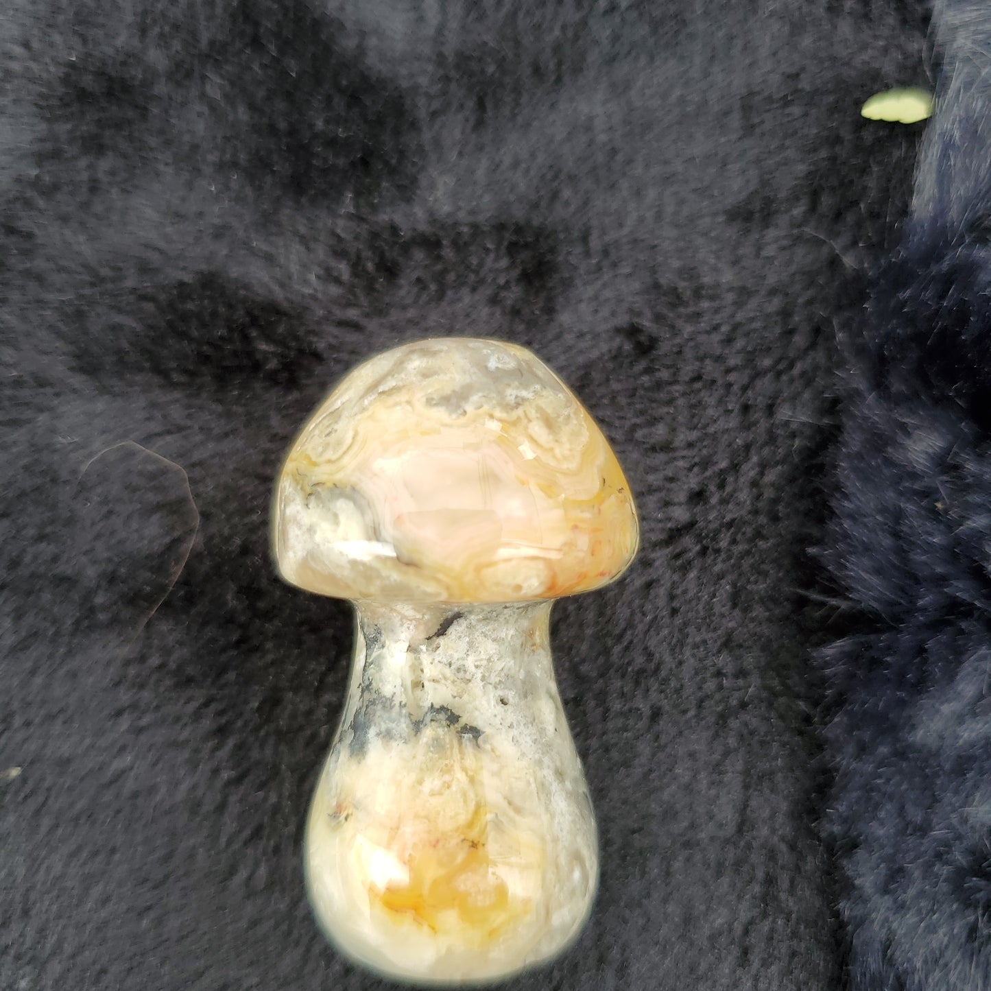 Medium Mushroom