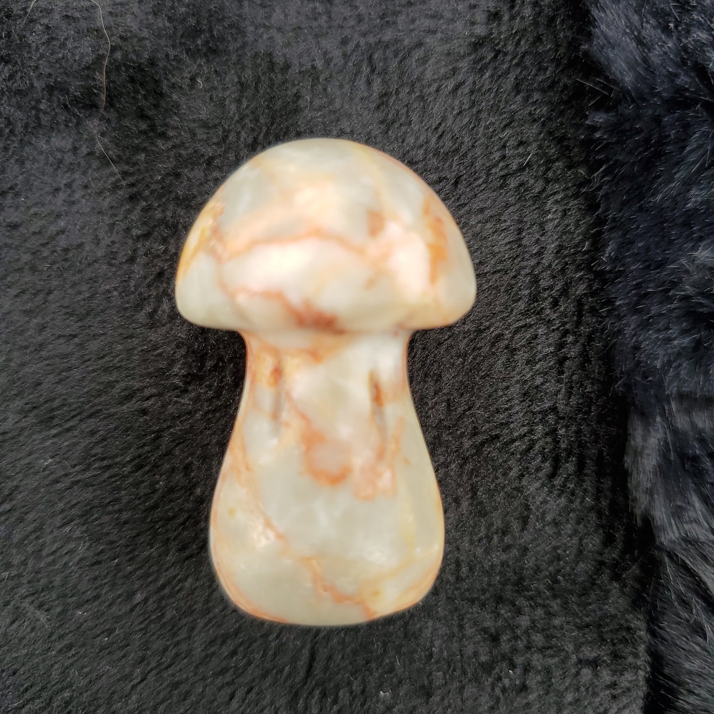 Medium Mushroom