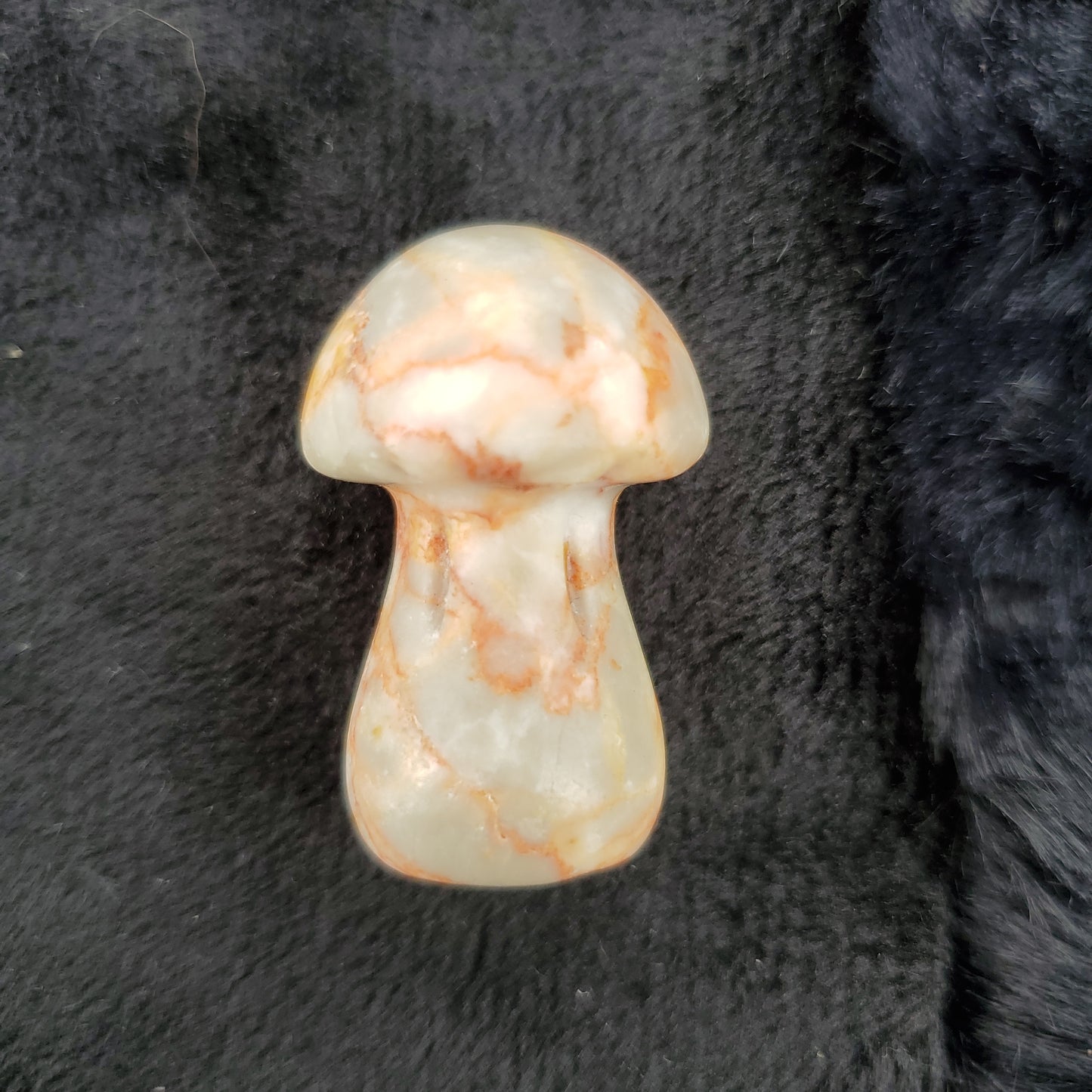 Medium Mushroom