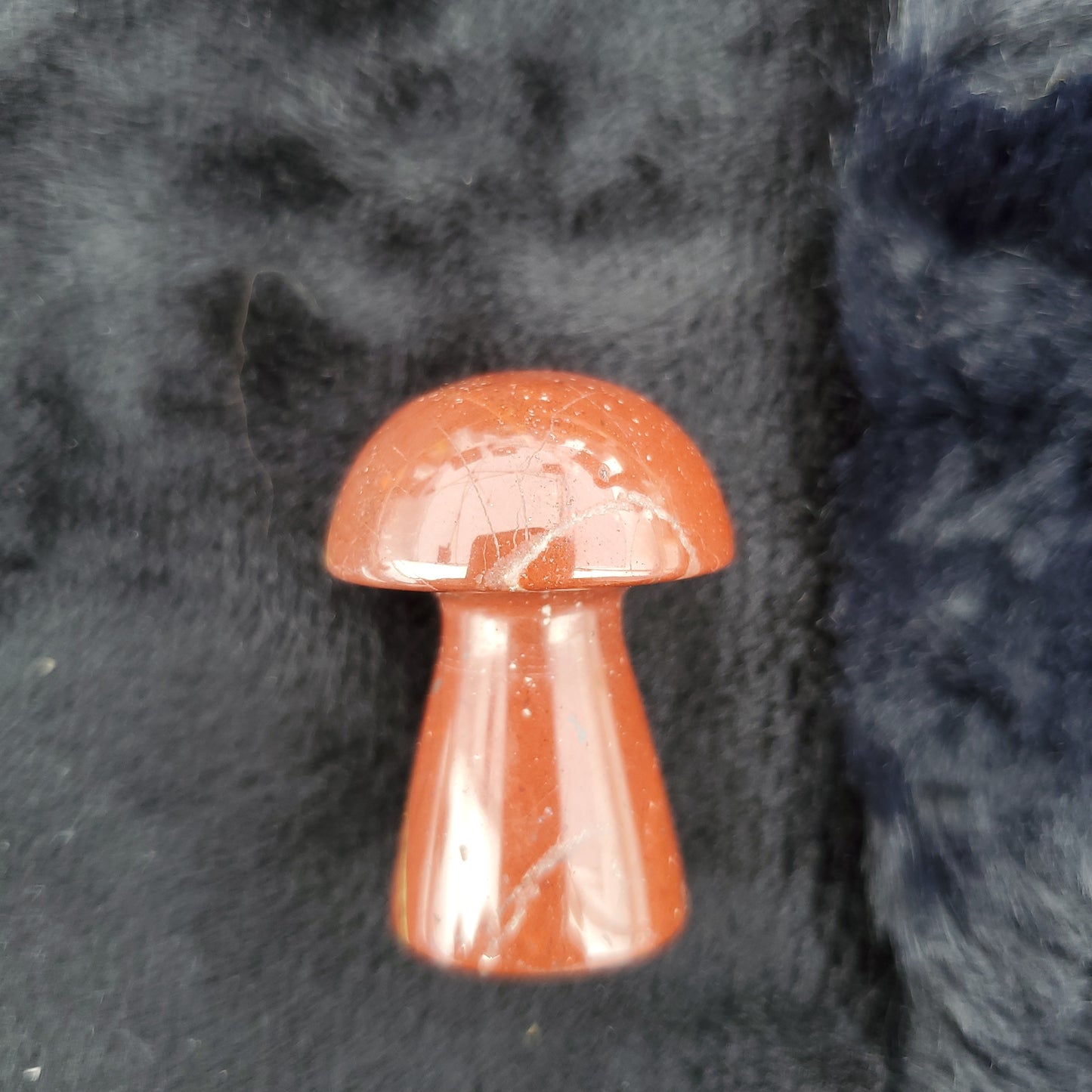 Medium Mushroom