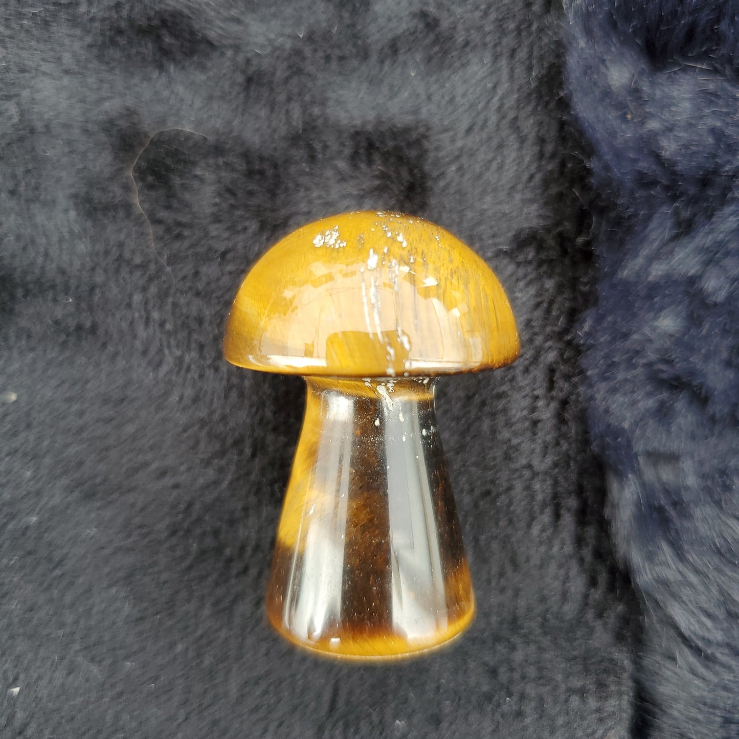 Medium Mushroom
