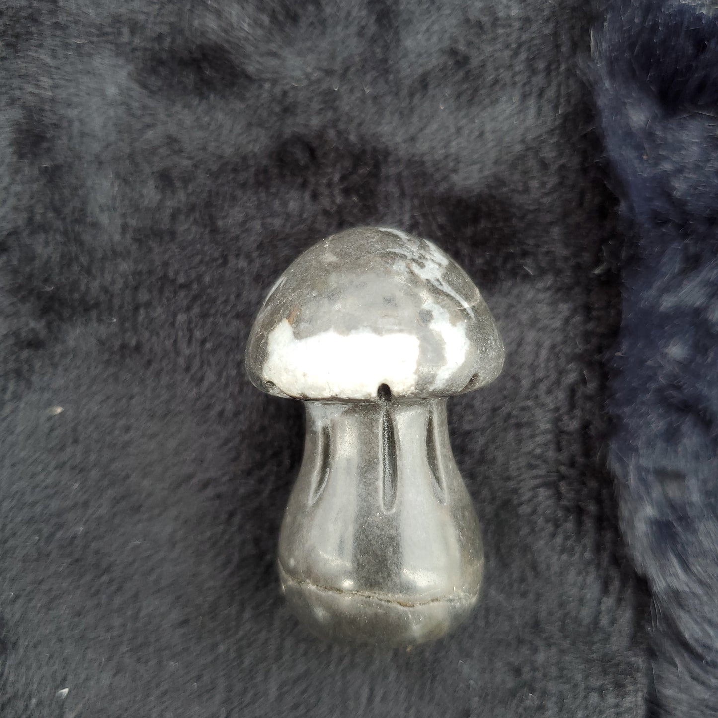 Medium Mushroom