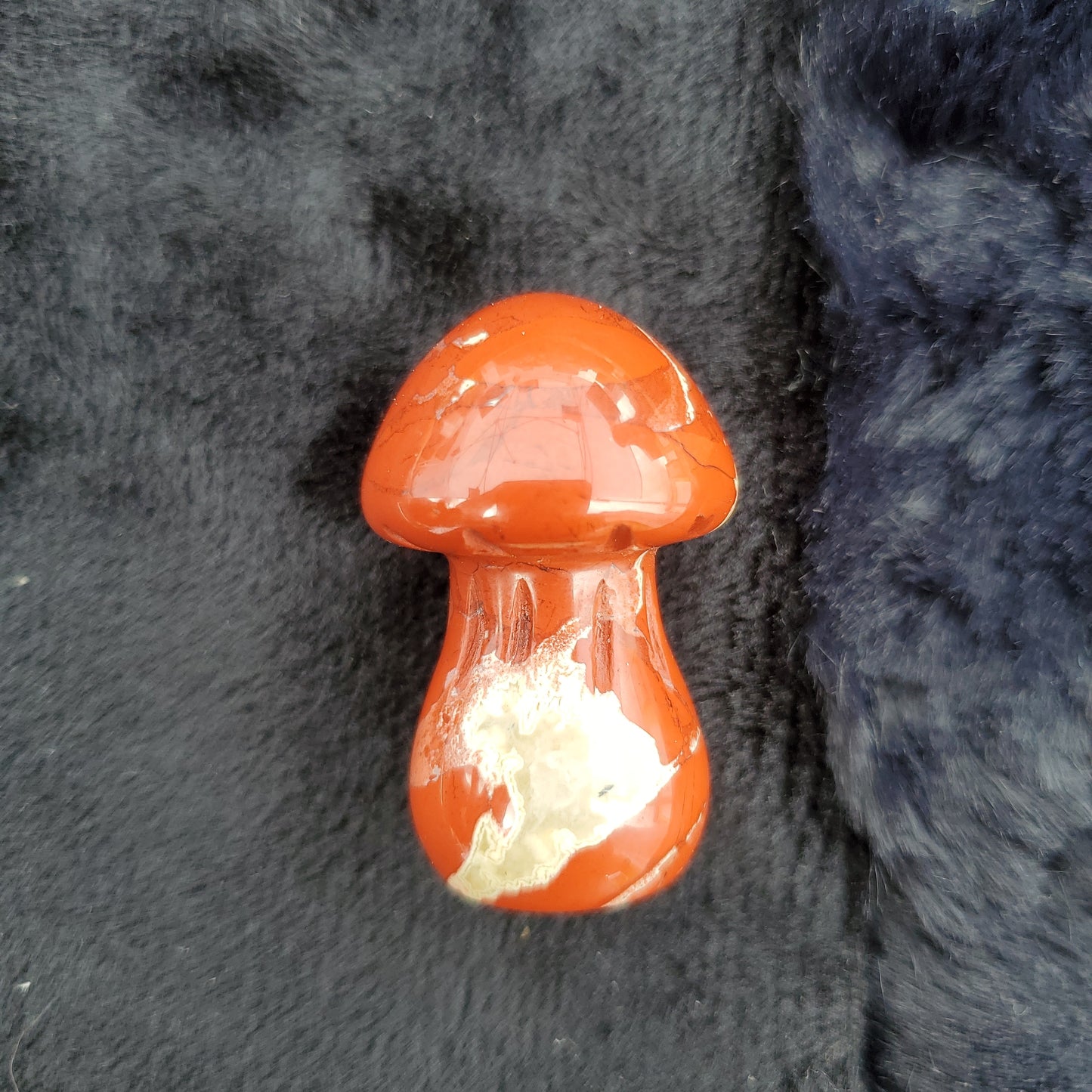 Medium Mushroom