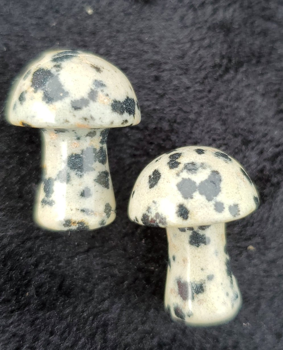 Mini Mushrooms