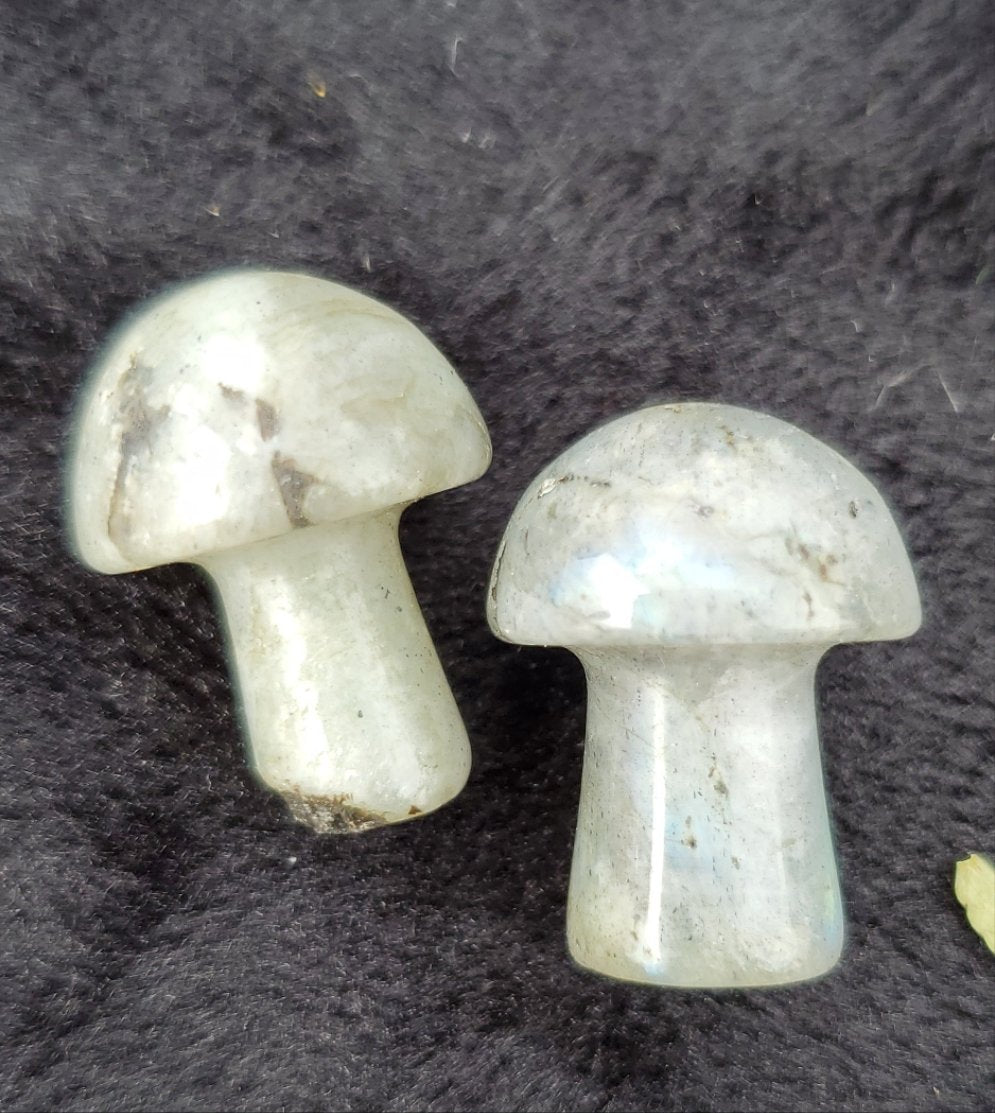 Mini Mushrooms