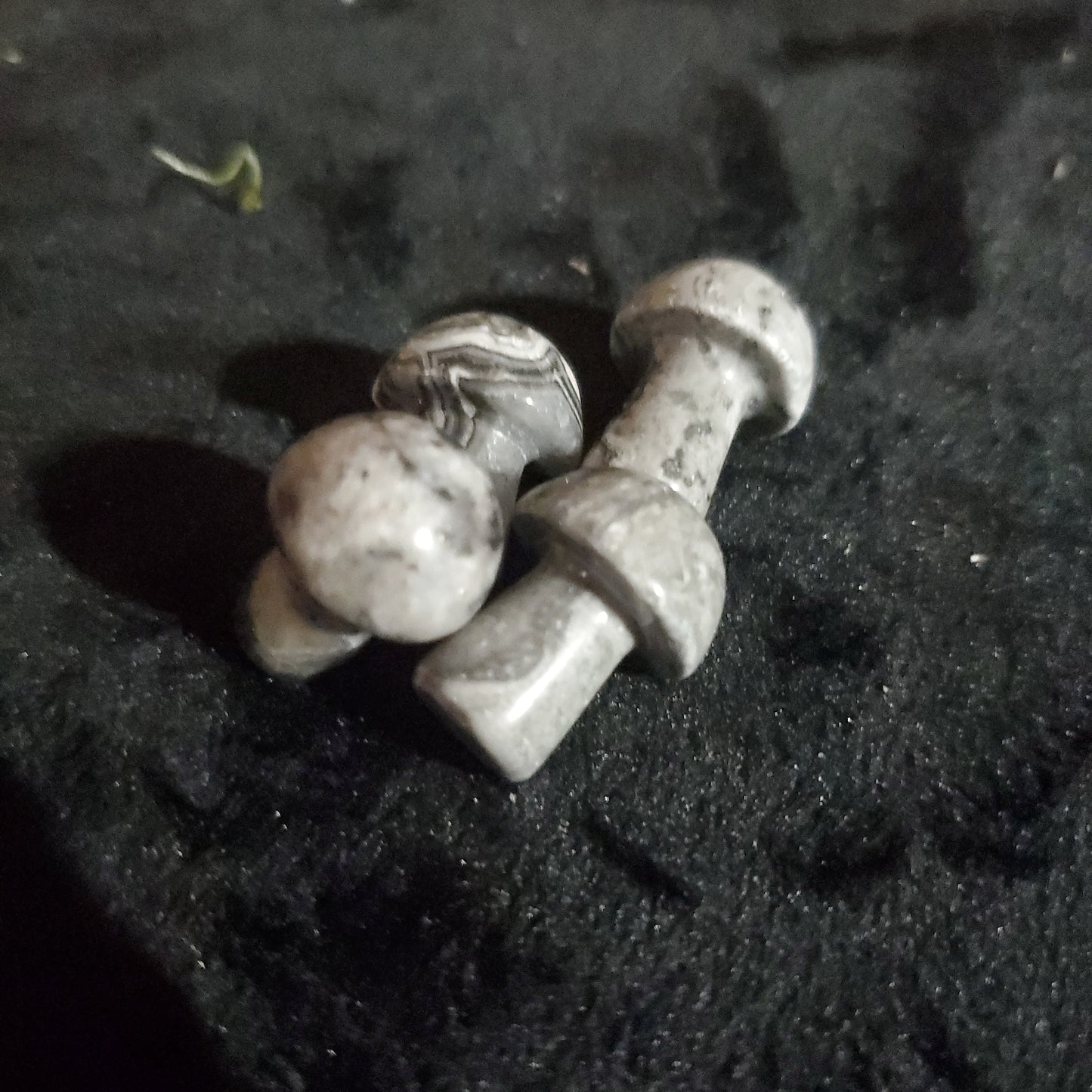 Mini Mushrooms