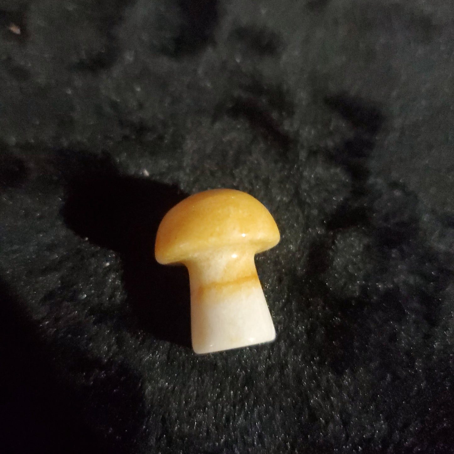 Mini Mushrooms