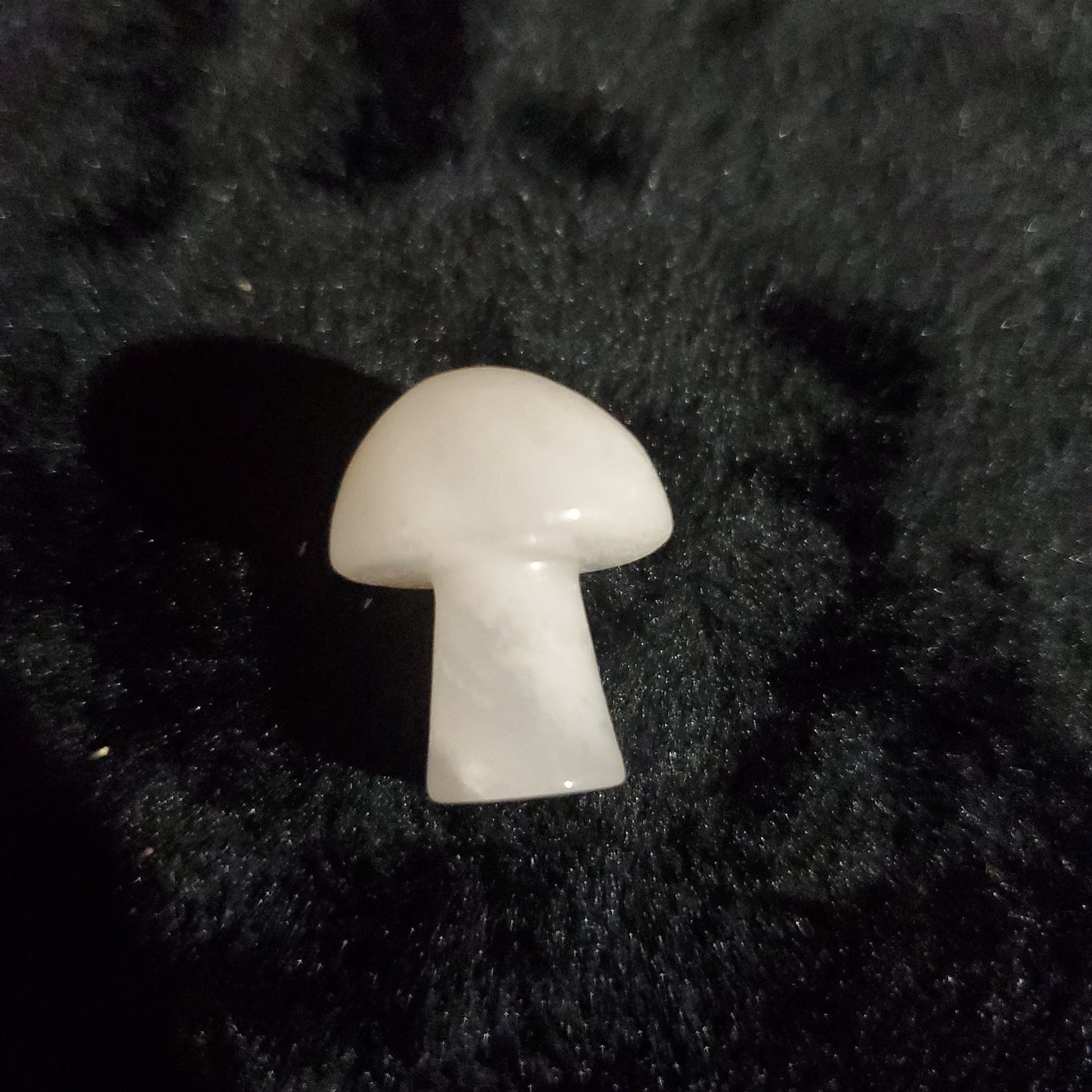 Mini Mushrooms