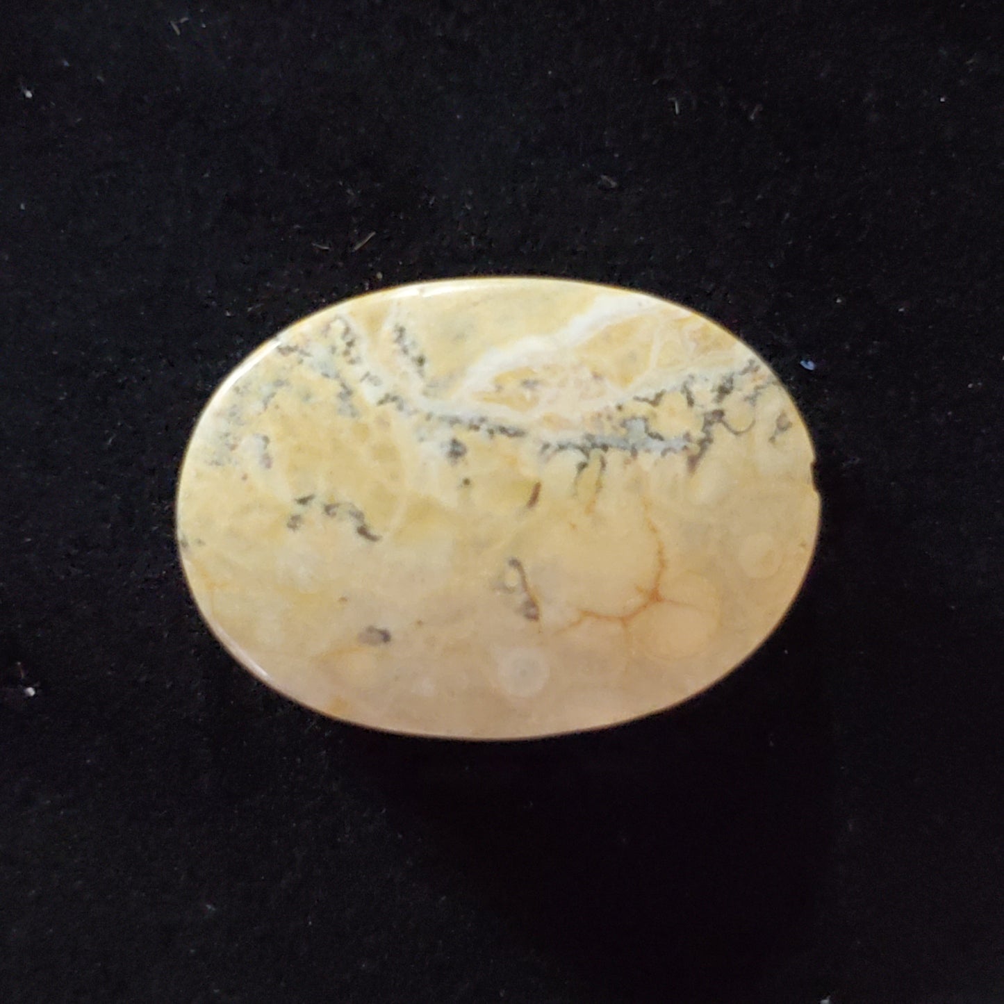 Sky Eye Jasper Brown Cabochon