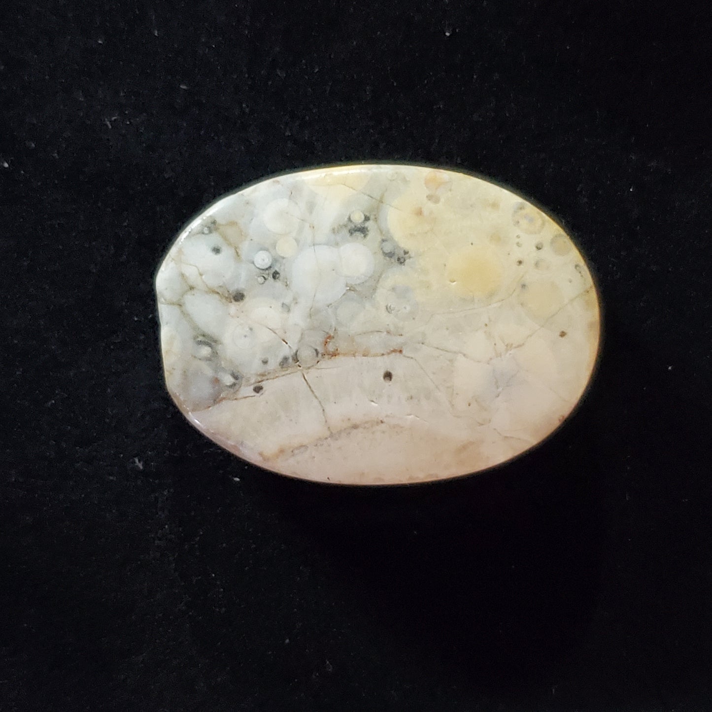 Sky Eye Jasper Brown Cabochon
