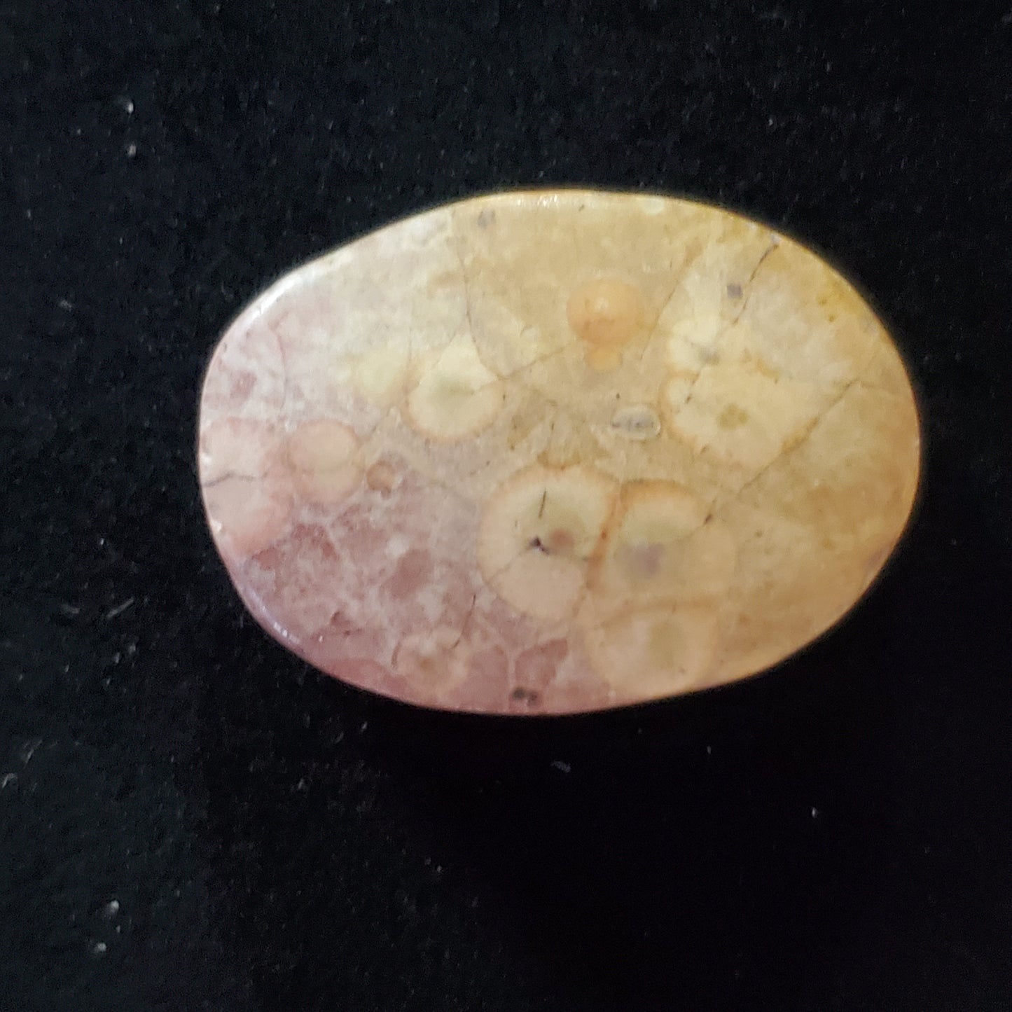 Sky Eye Jasper Brown Cabochon