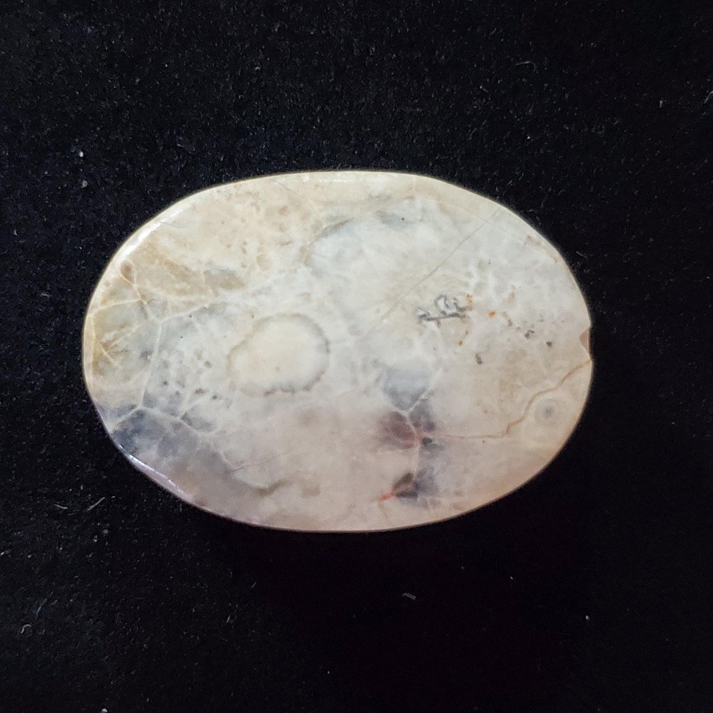 Sky Eye Jasper Brown Cabochon