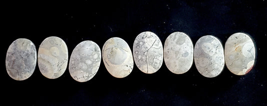 Sky Eye Jasper Gray