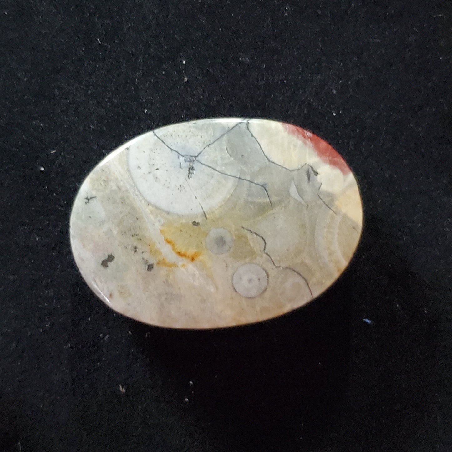 Sky Eye Jasper Gray