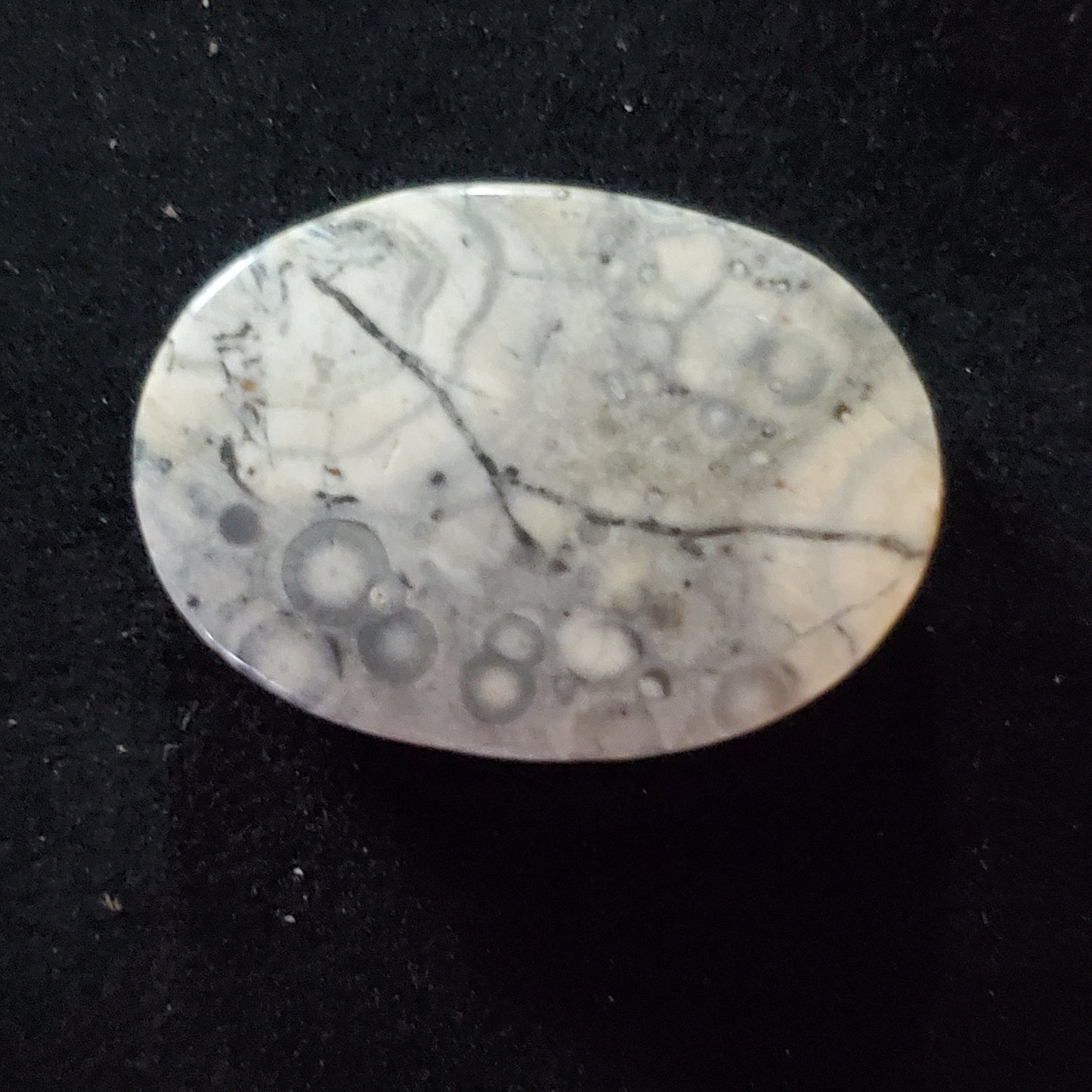 Sky Eye Jasper Gray