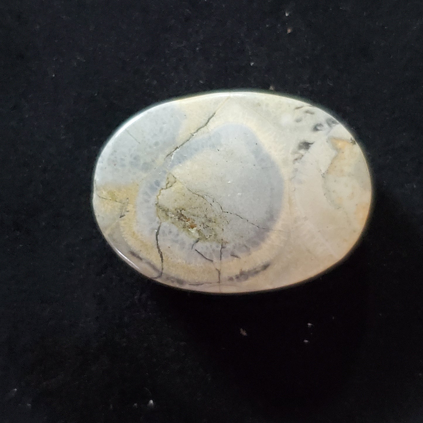 Sky Eye Jasper Gray