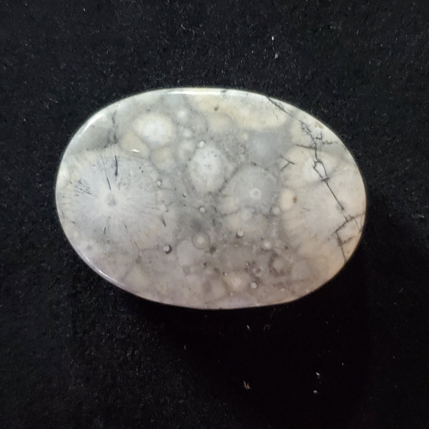 Sky Eye Jasper Gray