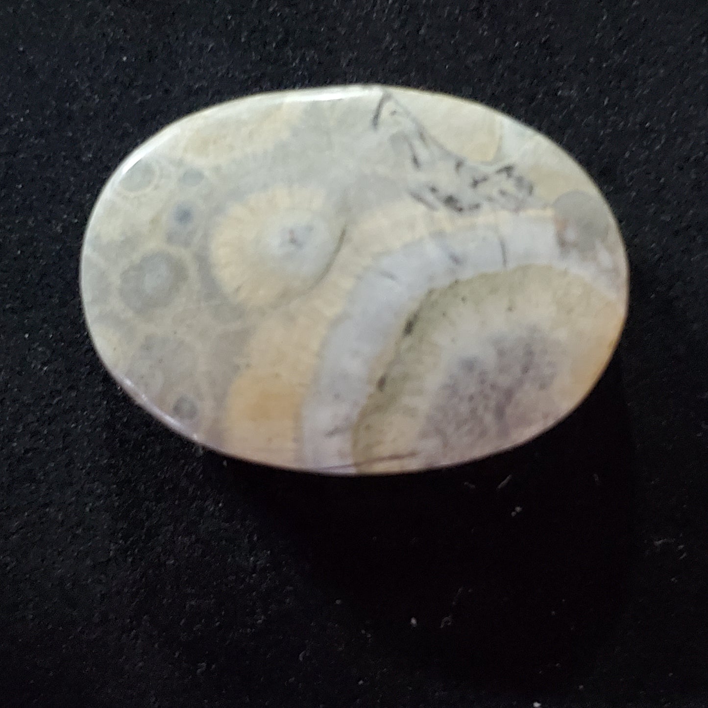 Sky Eye Jasper Gray