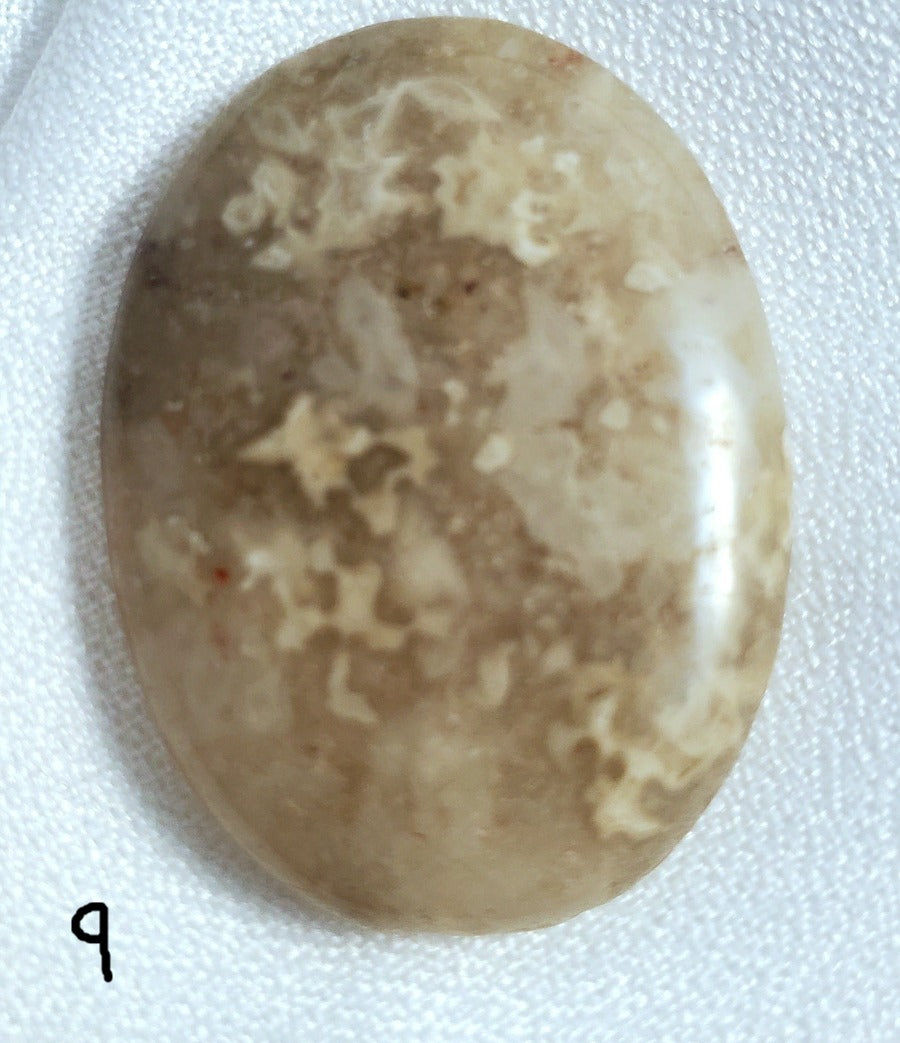 Laguna Lace Agate Medium