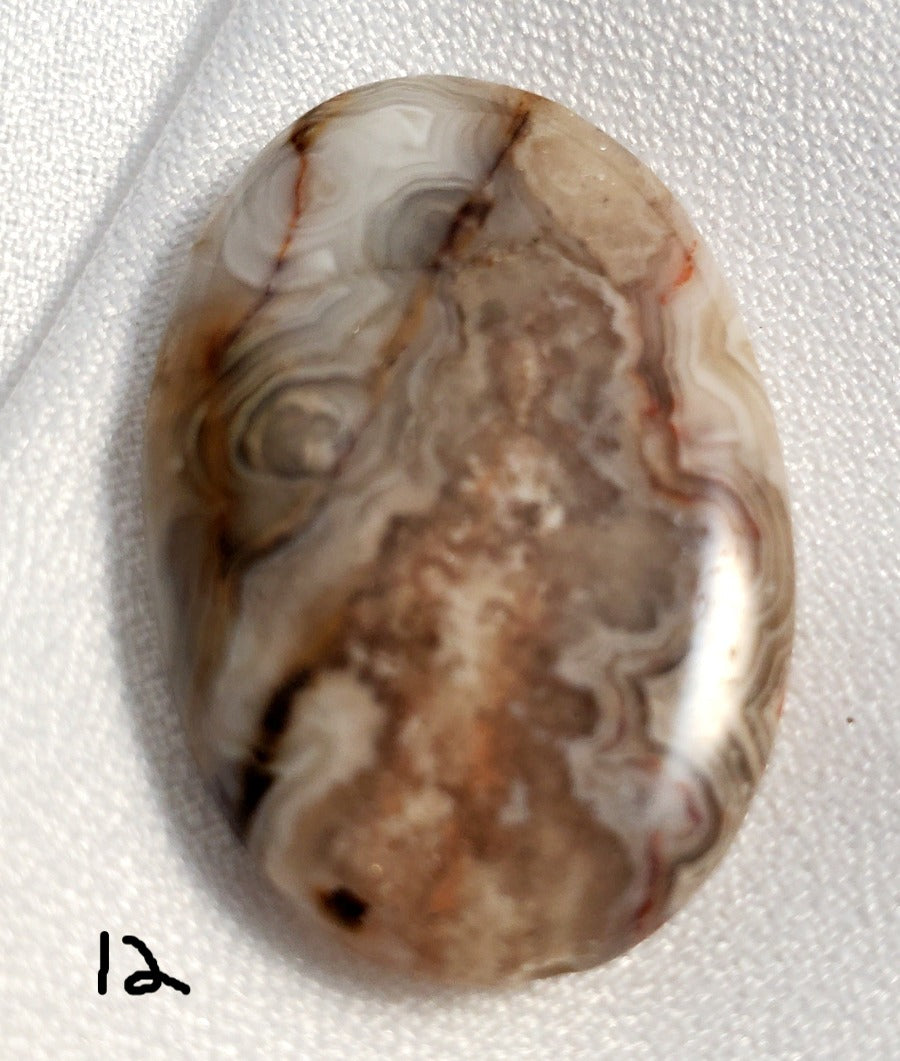 Laguna Lace Agate Medium