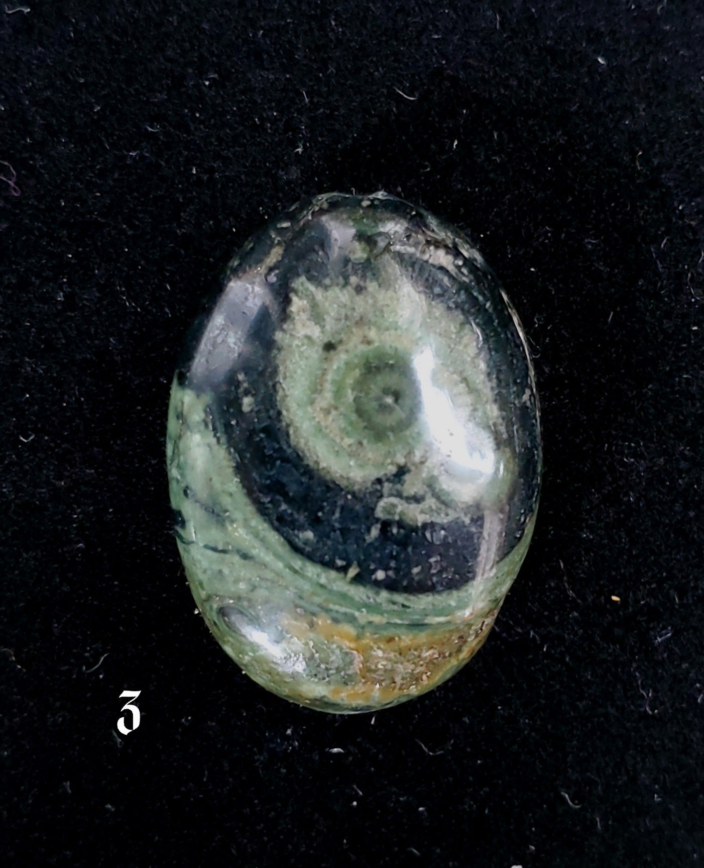 Kambaba Jasper Small