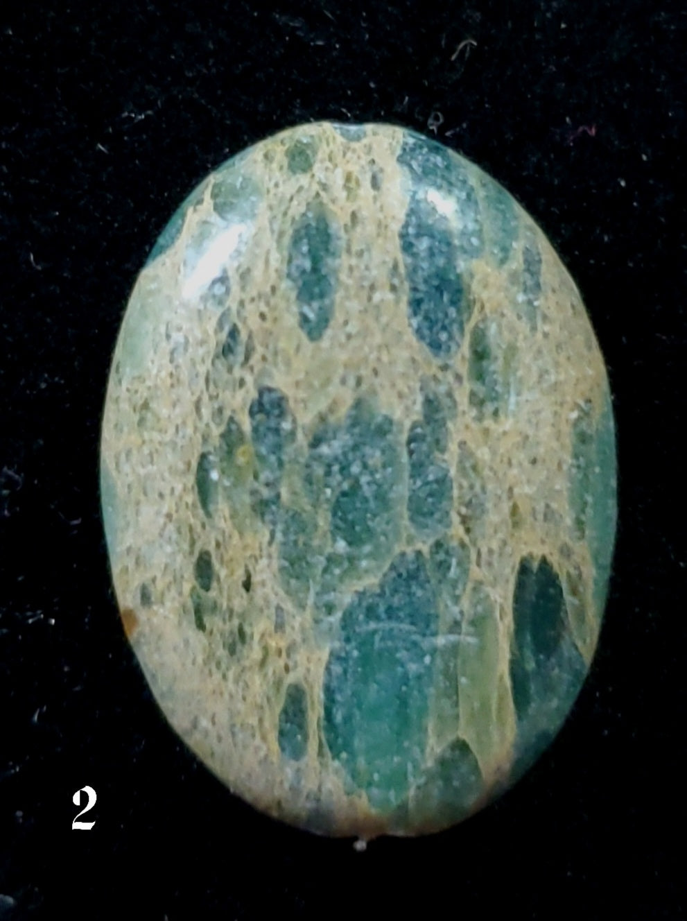 Impression Jasper (Variscite) 13x18mm Cabochon