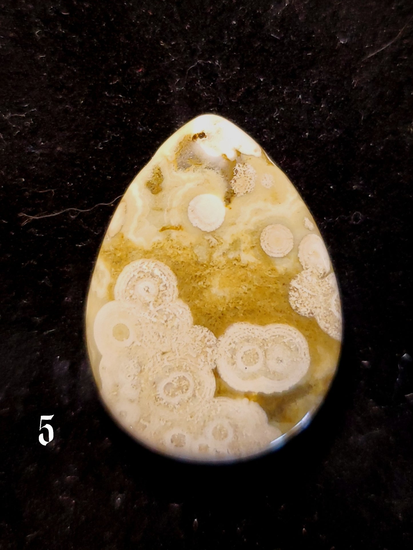 Ocean Jasper Teardrops