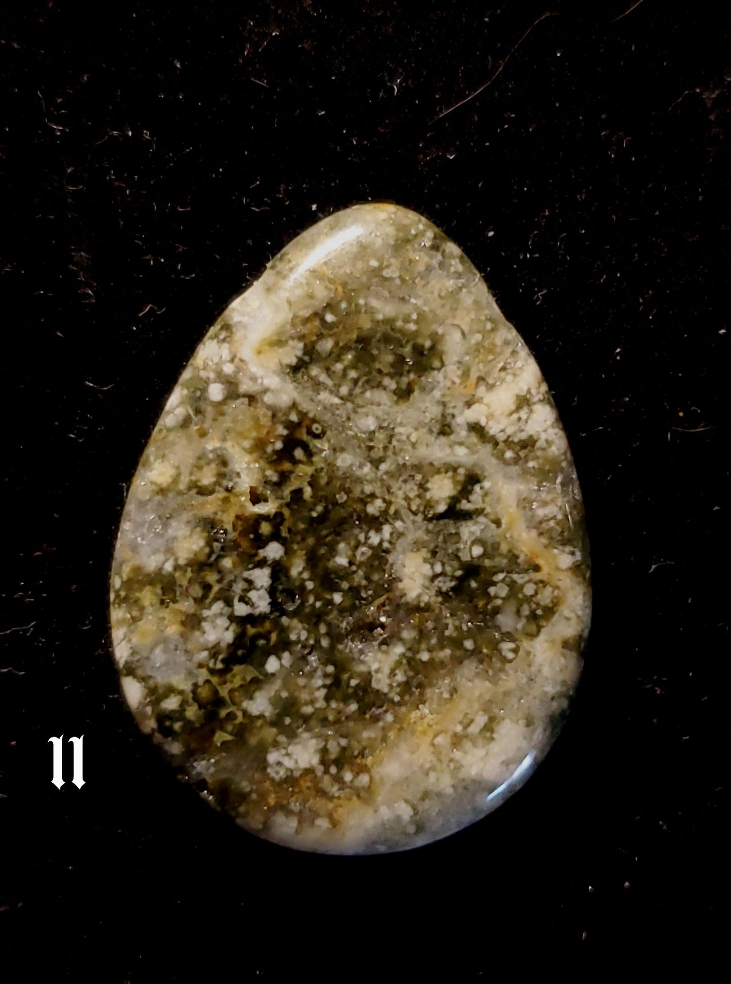 Ocean Jasper Teardrops